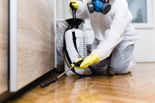 Best Bed Bug Extermination  in Rose Lodge, OR