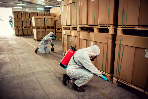 Trusted Rose Lodge, OR Pest Control Experts