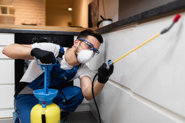 Best Pest Control Cost  in Rose Lodge, OR