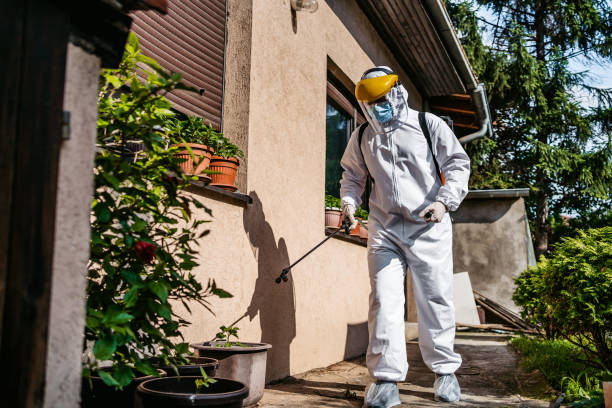 Best Best Pest Control Companies  in Rose Lodge, OR