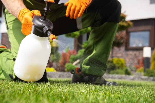 Best Exterminator Services  in Rose Lodge, OR