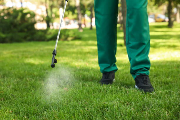 Best Pest Inspection Near Me  in Rose Lodge, OR