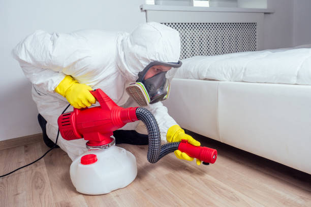 Best Wasp Removal Services  in Rose Lodge, OR