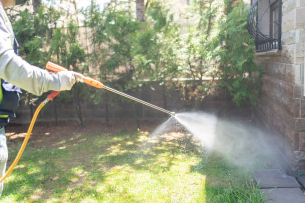 Flea Control Services in Rose Lodge, OR